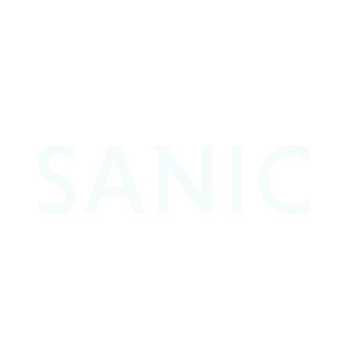 Sanic Clean - Website and digital solutions by Kuwona Digital